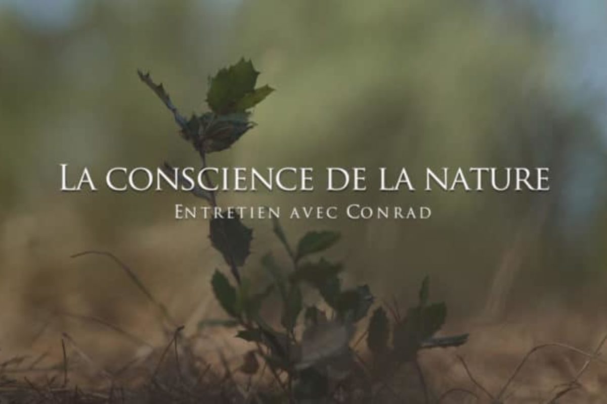 Conrad : La conscience de la nature